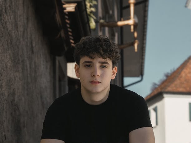 Nicolas de Cezaro, Webentwickler